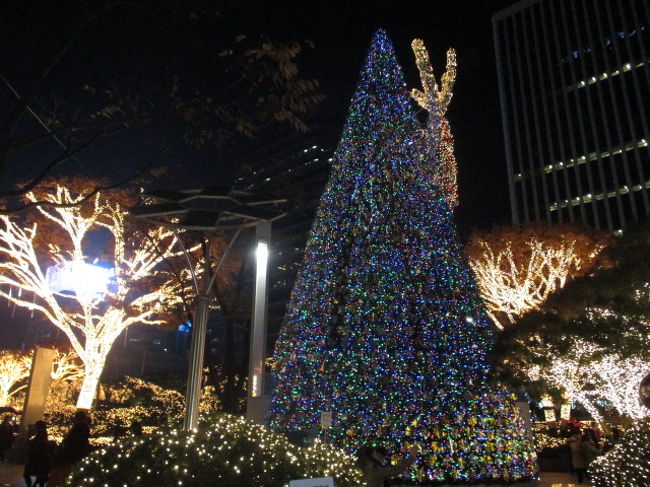 クリスマス前だったのでツリーも。