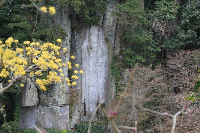 大野寺は、しだれ桜以外に磨崖仏でも有名で、宇陀川を隔てた対岸の弥勒巌には弥勒仏の立像があります。<br />線が細いのでよく見ないとわかりませんが、高さが１１．５ｍもある日本石仏史上重要な遺例だそうです。<br />(ただ個人的に磨崖仏は、国東半島のもののほうが立派だと思います。）