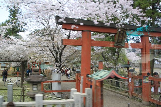 バスの車内から撮った氷室神社です。<br />氷室神社は、奈良国立博物館前にあります。