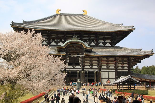 今回は時間がなかったため東大寺の大仏殿には入りませんでしたが、中門から大仏殿を眺めるとこんな感じです。