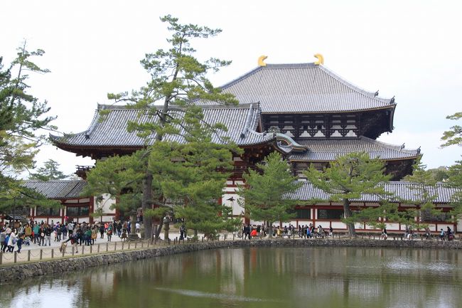 さらに元に戻って東大寺の中門と大仏殿です。