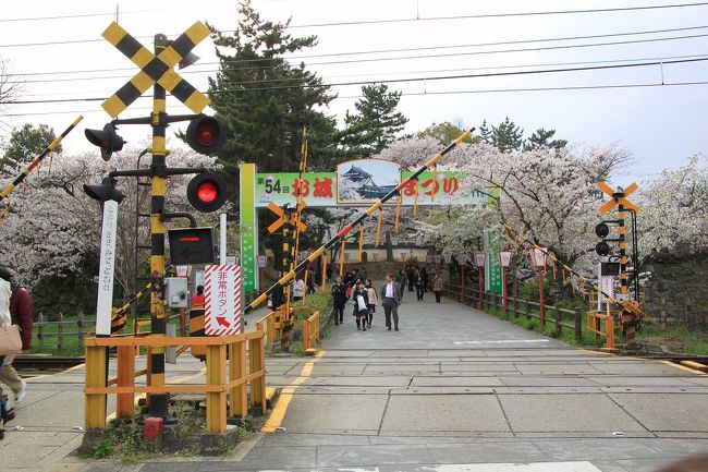 氷室神社と奈良公園の散策後、最後の目的地の郡山城址に向かいました。<br />この頃には夕方の４時になっていましたが、何とか雨も降らず曇り空の下散策しました。<br />バスをおり、歩いて城内に入ります。<br />その際、近鉄電車のこの踏切をわたります。<br />電車は駅のそばのため結構頻繁に通っていくので、早く渡らないと遮断機がすぐ下りてしまいます。
