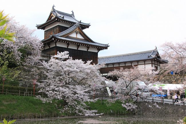 先ほどの踏切を渡り、鉄（くろがね）御門跡を抜けてまずは追手門のほうに向かいます。<br />このお城のような建物は、追手門が見渡せる追手向櫓です。<br />ちなみにここの天守台は現在改修工事中で見ることができません。