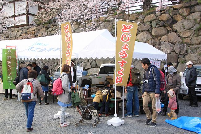追手門下では出店が出ており、大和郡山の有名な金魚すくいではなく、ドジョウ掬いのお店が出ていました。<br />金魚すくいと同様に、ドジョウをポイですくっていました。
