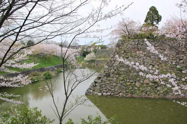 城内にはこのようなお濠もあります。