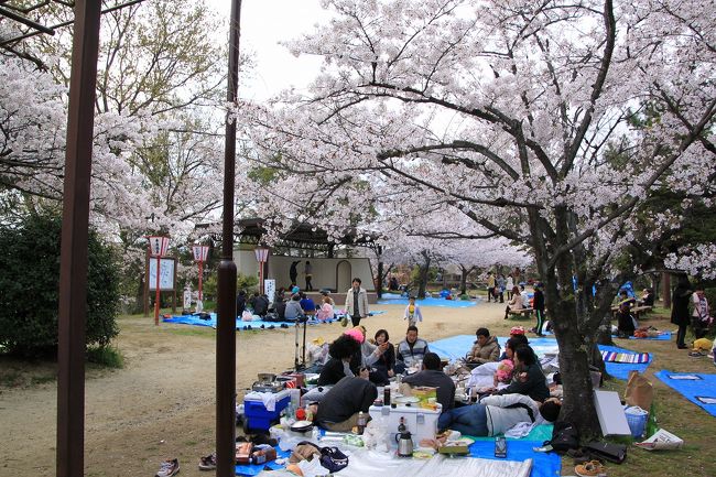もちろん城内の公園ではこのような花見の宴をされており、私も仲間に入れてほしかったです。