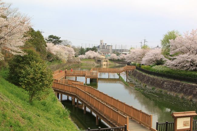 船入りの濠跡周辺は整備され水辺の散歩道になっています。