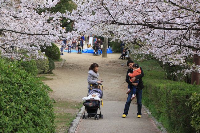 子供連れのほのぼのとした景色だったので、思わず撮影しました。<br />私たちの若かったころを思い出します。