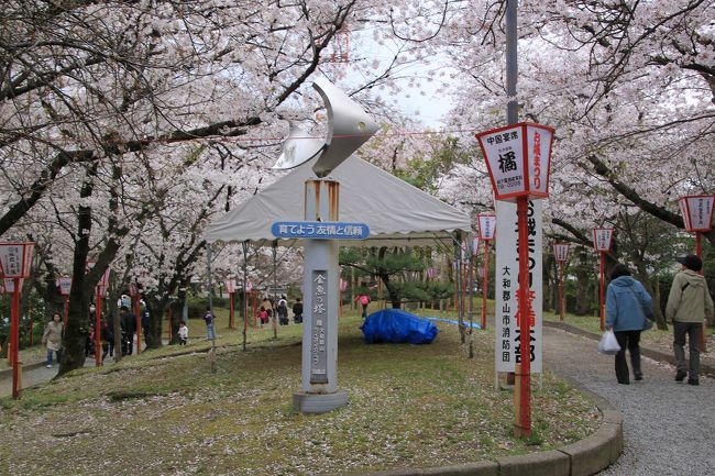 これで４か所の奈良県を代表するしだれ桜を見学してきました。<br />氷室神社と郡山城址のしだれ桜は散り初め状態でしたが、又兵衛桜と大野寺のしだれ桜はほんとうにきれいでした。<br />天気が曇り空だったのが少し残念でしたが、雨に合わなかっただけでもラッキーだったのかもしれません。<br />ちょうど見学が終わり、バスで帰路に就く途中から雨が降り始めました。<br />又兵衛桜と大野寺のしだれ桜は９日くらいまではきれいに見られそうです。<br />皆さん方も７日からは天気も回復するので、出かけて見られてはどうでしょうか。
