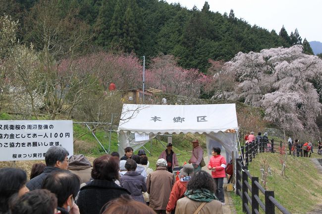 ここが又兵衛桜の入り口です。<br />又兵衛桜周辺整備の協力金として100円支払います。<br />遊歩道の整備や草引き、花壇の手入れなどに使われるそうですが、もっと払ってもいいくらいです。