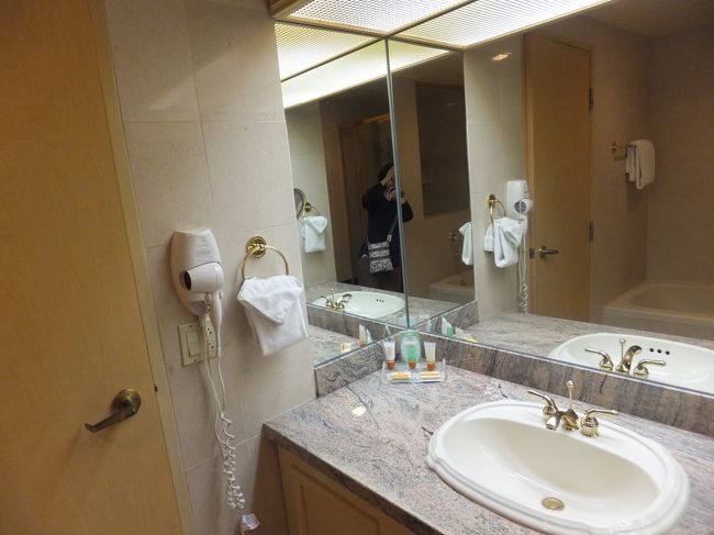 ピラミッドになっている建物だとシャワーのみで、タワーだとバスタブがあるようです。