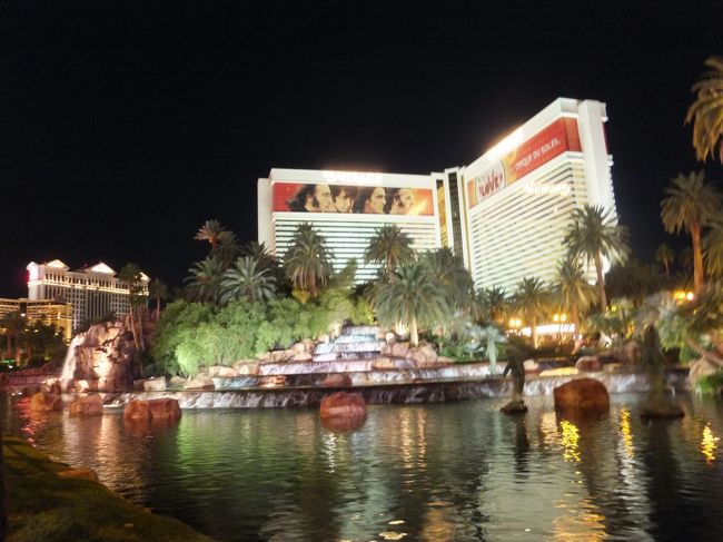 ミラージュで火山噴火ショーが２０時からあるそうなので、それに合わせて出かけました。