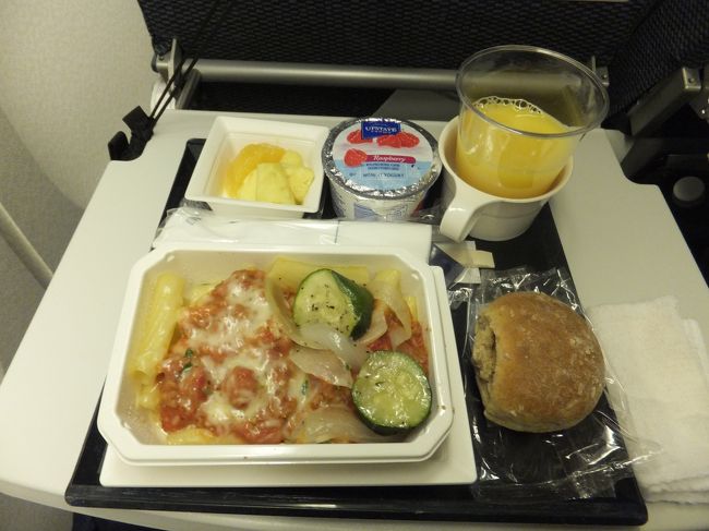 ８日目　９/２４日（火）１４時。<br />２回目の食事。<br />１回目のパスタとかぶってしまたかな？<br /><br />成田でも予定より早く着いたけど、ゲートが空いてなく結局、１６：２５と定刻到着。<br /><br />空港で１時間半待ち１８：３０のバスに乗り、タクシーで自宅に着いたのは２１：３０。<br /><br />今回も無事に到着しました。