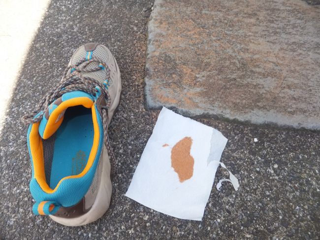 週末に旅行で履いた靴を綺麗にしようと持ってみると、何となく重い。<br />振ってみると、かすかに音がする…<br /><br />払ってみると何と赤い砂が出てきました。<br />ちょうどメッシュの中に入っていたようで、どんどん出てきたので、思わずティッシュに集めてしまいました。<br /><br />そういえば、雨の場合は乾いても落ちないことが多いので、汚れてもいい服装にしたほうがいいと添乗員さんが言っていました。