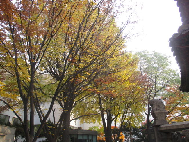 紅葉が綺麗でした。