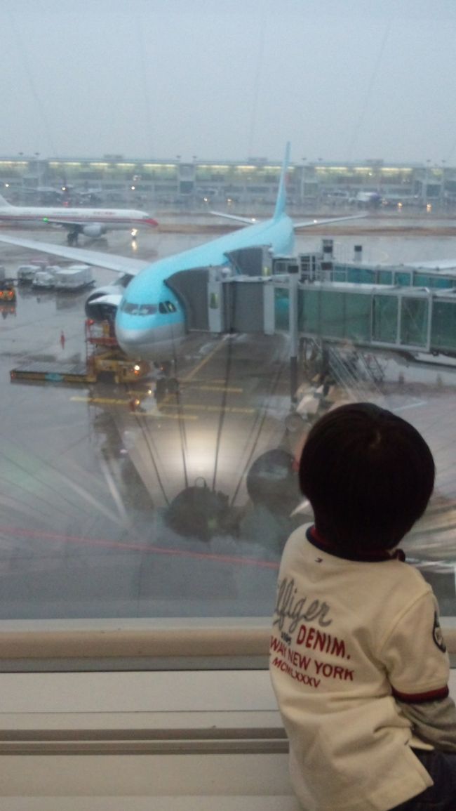 この飛行機で帰ります。<br />夕方になって雨が降り始めました。<br />外で遊んでいる時間に降らなくて良かった！