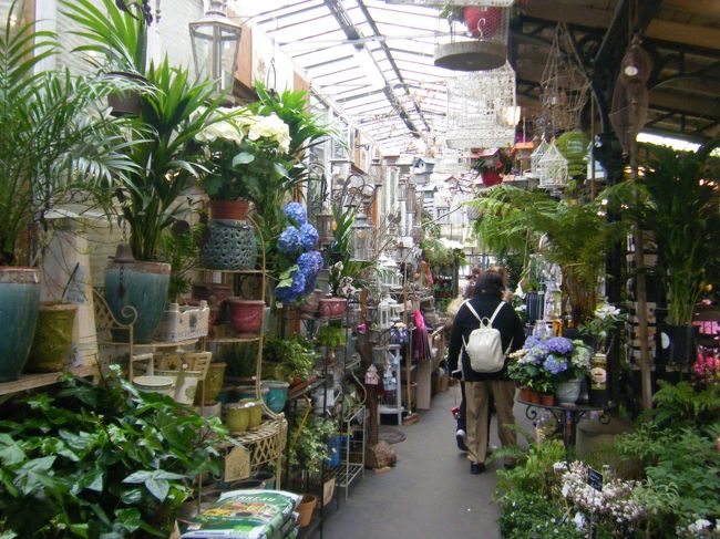 途中、花市を抜けてノートルダム大聖堂を目指します！！<br /><br />今日はなんだか長蛇の列に並ぶこともなく、ゆっくり観光できてラッキだな〜！！