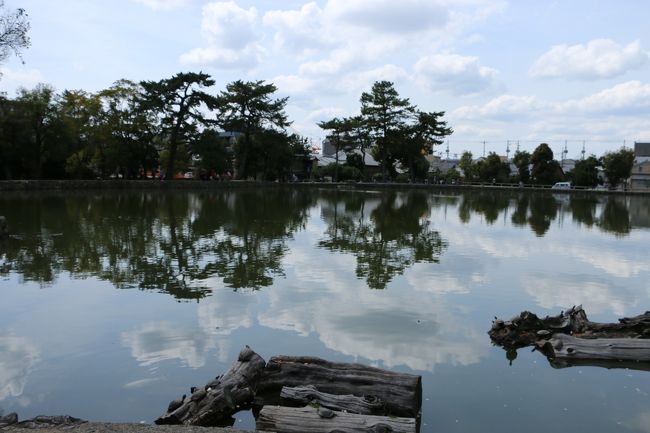 ランチの後は。。<br /><br />「猿沢池」から出発。。。