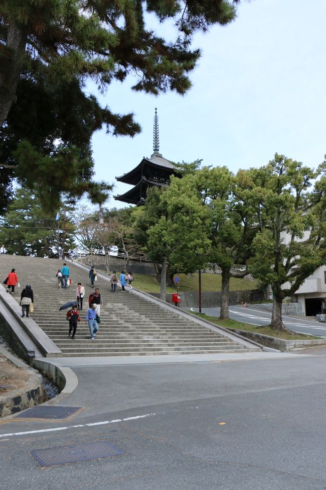 <br />ElliEさんとの待ち合わせは、「猿沢池」<br /><br />　　　　　　どきどき。。。<br /><br />　　≪　どんな方かなぁ〜♪　≫<br /><br />そして。。　「はじめまして〜♪」。。。<br />