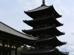 「猿沢池」の横の階段から上がって。。

古都奈良を象徴する「興福寺　五重塔」（国宝）
５回もの被災、再建を繰り返し、現在に至っています。


天平2年（730年）、光明皇后の発願で創建された。現存の塔は応永33年（1426年）頃の再建である。高さ50.1メートルで、木造塔としては東寺五重塔に次ぎ、日本で2番目に高い。
（Wikipediaより）

夜間ライトアップもされ、猿沢池に映る姿は一見の価値があります。