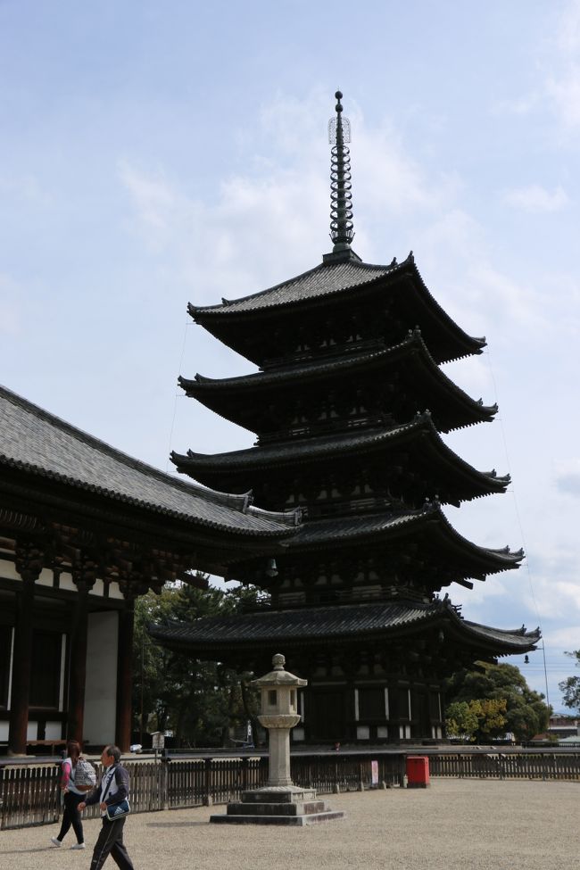 「猿沢池」の横の階段から上がって。。<br /><br />古都奈良を象徴する「興福寺　五重塔」（国宝）<br />５回もの被災、再建を繰り返し、現在に至っています。<br /><br /><br />天平2年（730年）、光明皇后の発願で創建された。現存の塔は応永33年（1426年）頃の再建である。高さ50.1メートルで、木造塔としては東寺五重塔に次ぎ、日本で2番目に高い。<br />（Wikipediaより）<br /><br />夜間ライトアップもされ、猿沢池に映る姿は一見の価値があります。