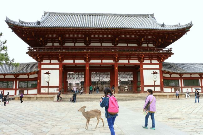 「東大寺　大仏殿　中門」（重要文化財）<br />入母屋造の楼門（2階建ての門）<br /><br />「奈良公園」の“鹿さん”は、人気者〜♪<br />“神様の御使い”である“鹿さん”は、人懐っこく、食欲が旺盛！<br />あくまで野生の動物なので、注意が必要です…。<br />