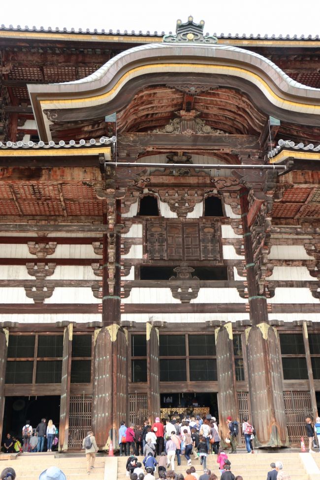 「東大寺　大仏殿」（国宝）<br /><br />創建から２度にわたって焼失、鎌倉時代、江戸時代に再建され、現在でも世界最大級の木造建築です。<br /><br />近くまで行って見上げると、その壮大さがよくわかりますね…。<br /><br />そして、この大仏殿の建物にある窓は『観相窓（かんそうまど）』と言われ<br />元旦とお盆の万燈供養会の夜に開けられ、大仏さまのお顔が見られるそうです。<br /><br />