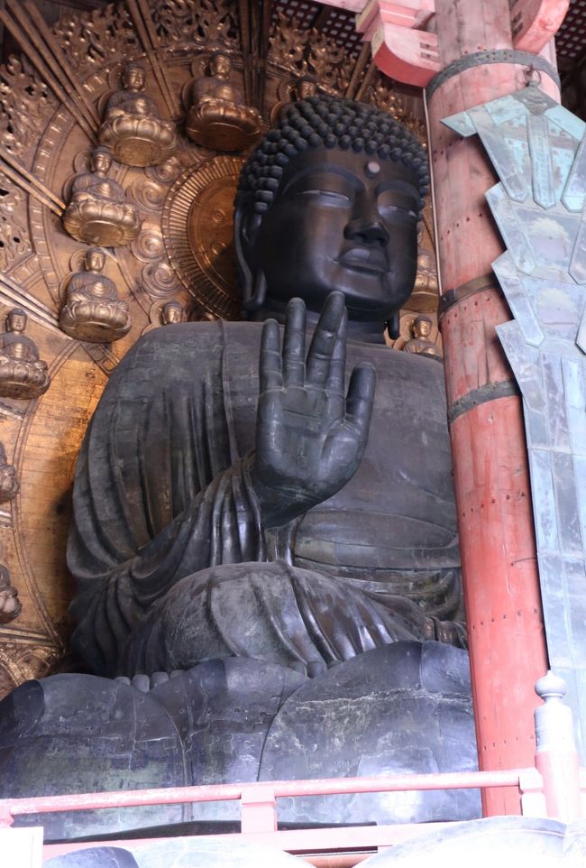 「東大寺　大仏（盧舎那仏像）」<br /><br />像高約15ｍの大仏さま…。<br />2度の兵火に遭われ、体部の大部分は中世、頭部は江戸時代の作。<br />奈良時代創建当初から残る部分は、台座と袖、脚、蓮の葉などの一部のみ。<br /><br />大仏は『華厳経』に説く盧舎那仏という名の仏である。盧舎那仏は「蓮華蔵世界」（『華厳経』の説く世界観）の中心に位置し、大宇宙の存在そのものを象徴する仏である。（Wikipediaより）