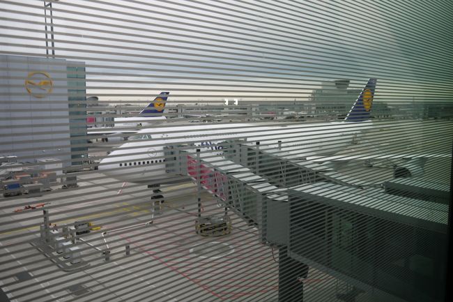 ちゃんと飛行機は来てる。<br /><br />