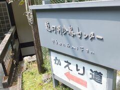 併設の「龍河洞珍鳥センター」。 

入館無料です。