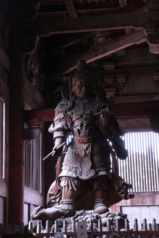「大仏殿」　『広目天像』<br /><br />　　　光と影。。<br /><br /><br />梵名ヴィルーパークシャ 「尋常でない眼、特殊な力を持った眼」さらに千里眼と拡大解釈され、広目と訳された（Wikipediaより）<br /><br />持国天、増長天、多聞天と共に四天王、守護神です。<br /><br />持物は、古くは筆を持ち巻物に何かを書き留めている姿で表現された。しかしこれは主に天平時代のもので、平安時代以後は徐々に別の持物を持つようになった。<br />（Wikipediaより）<br />