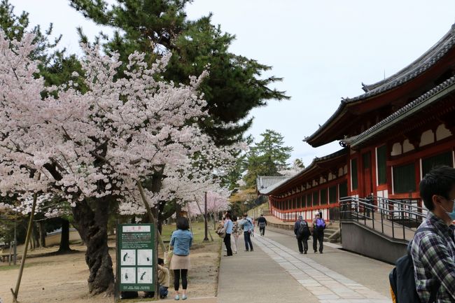 「大仏殿」を出て、奈良公園を　てくてく。。。