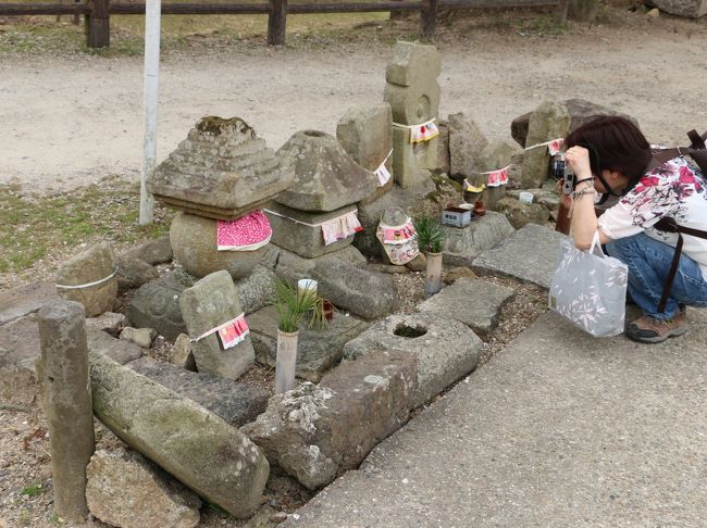 ElliEさん、大層お気に召して下さった様で…（＾＾<br /><br />この時撮影のElliEさんのお写真<br />http://4travel.jp/photo?trvlgphoto=33356011