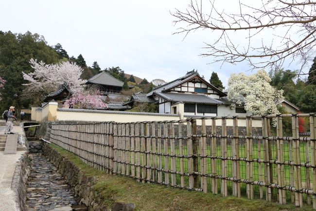 次は「二月堂」に向かって てくてく。。。