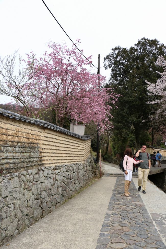 <br /><br />　　≪　わぁ〜  きれい。。。　≫<br /><br />