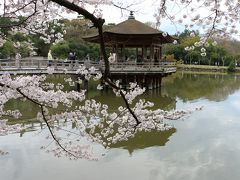 今度は　てくてく、、、　「浮見堂」へ