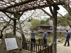 左手に見える石の下には、「洞水門（どうすいもん）」別名水琴窟

置いてある柄杓で水を流すと、微かに響く 琴の音…