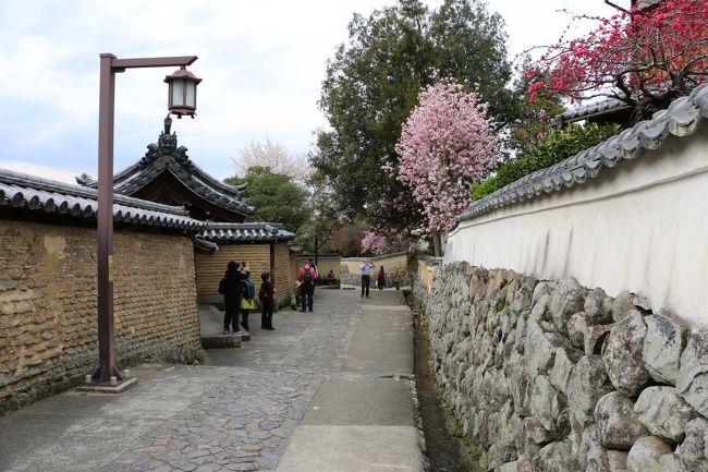 <br /><br />≪　この道。。。  　素敵〜♪　　^ ^　≫