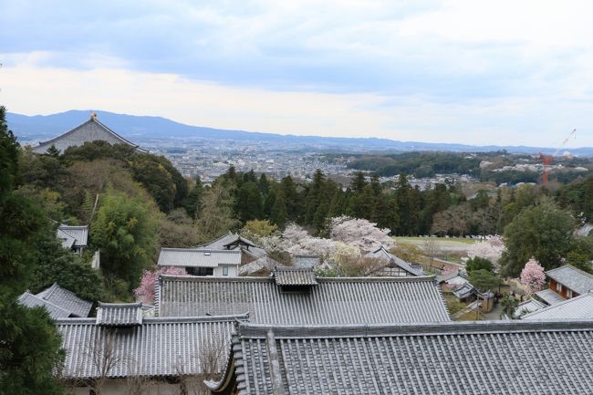 「二月堂」から。。<br /><br />奈良市内や奈良公園、「大仏殿」が見渡せます。。。<br />ここからの眺めはkuritchiのお気に入り♪