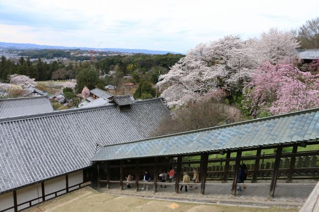 下りは、こちらの、、、