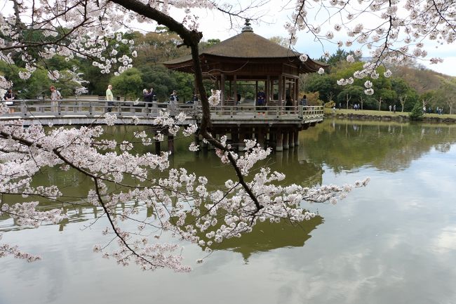 今度は　てくてく、、、　「浮見堂」へ