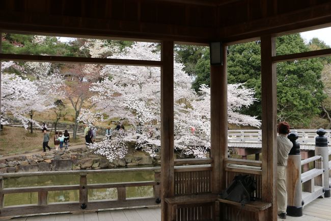 <br />「浮見堂」から。。。