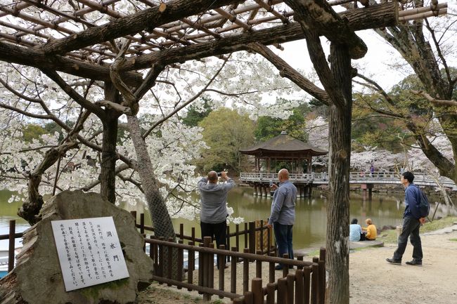 左手に見える石の下には、「洞水門（どうすいもん）」別名水琴窟<br /><br />置いてある柄杓で水を流すと、微かに響く 琴の音…