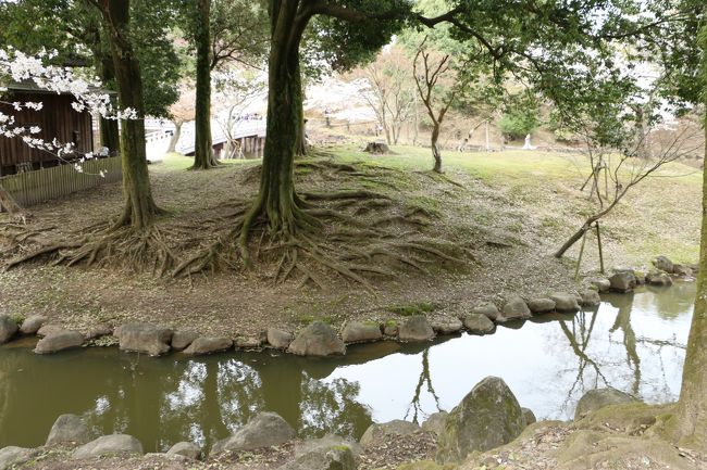 てくてく。。。 次は「頭塔」へ向かいます