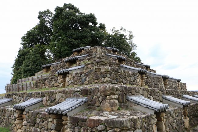 「頭塔（ずとう）」http://www.pref.nara.jp/6709.htm<br /><br />『奈良文化財研究所』による1986年（昭和61年）からの発掘調査終了後、<br />北半部（手前）は復元保存、南半部（後ろ）は発掘前の現状保存・木の植わったままの状態の形で残されています。<br /><br />通常は見学する際に、前日までに現地管理人に予約が必要。<br />（特別公開期間中は事前予約なしで見学可）