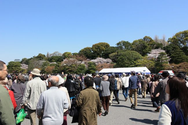 花見っていうレベルじゃねーぞ。