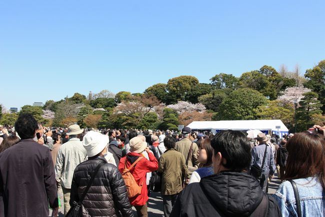 しかし、一般参賀の時はもっと混むらしい。