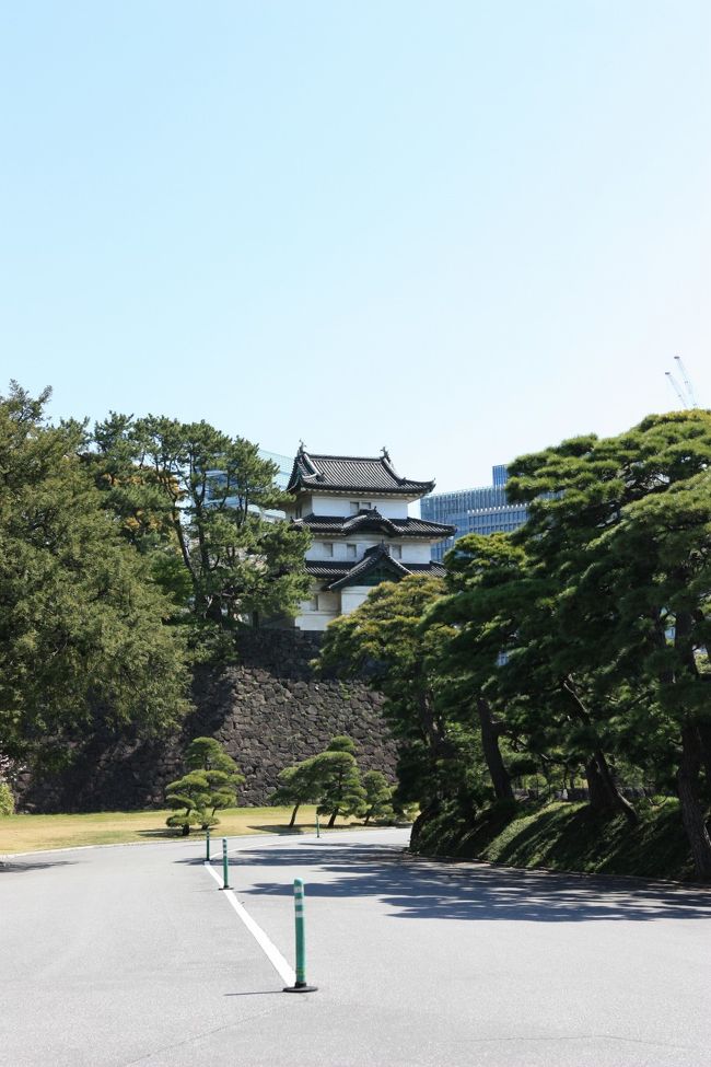 皇居って普段は来ないのでいるだけで新鮮な気分。パンフレットがなかったので周りの建物の名称が分からず（汗）