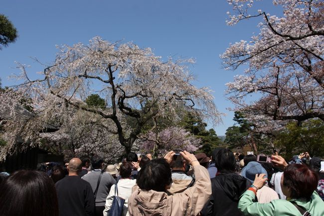 参加者は高齢の方が9割でした。20代男性は自分を除いてほぼいなかったです(^_^;)。完全にういていた。