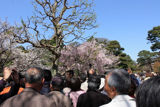 写真撮影はワンショットルールです。